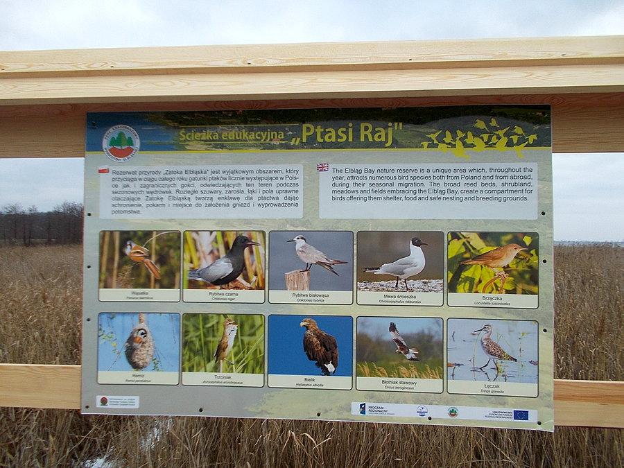 Rezerwat Przyrody Zatoka Elbląska