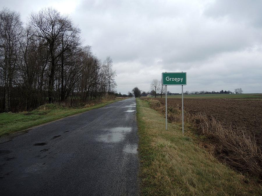 Grzępy