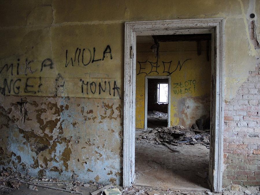 Wnętrze pałacu w Prusinowie 6