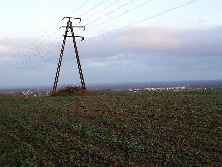Wzgórza Dalkowskie - widok na Kożuchów