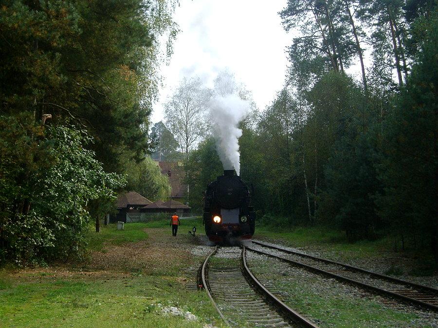Ty42-107 manewruje na stacji kolejowej w Spale