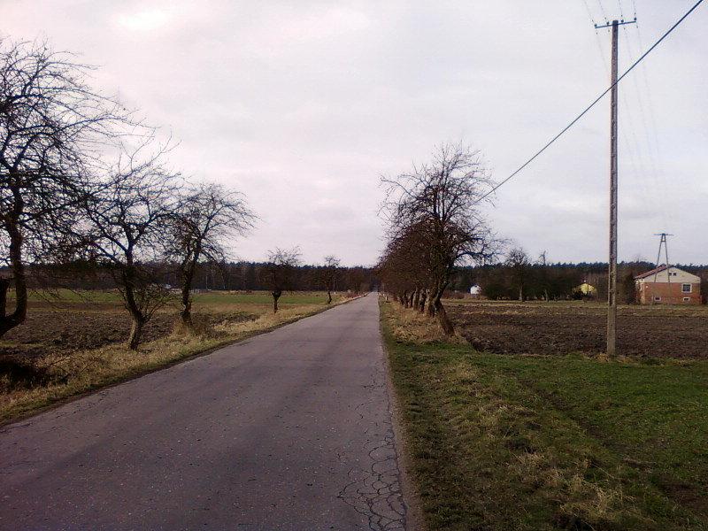 Boczna droga w okolicy Sań