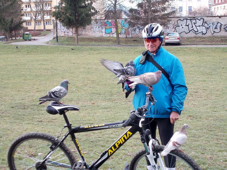 Rowerowe gołębie