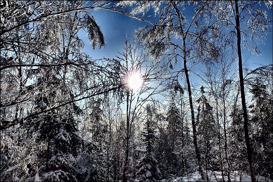 Zima w Broumovskych Stenach