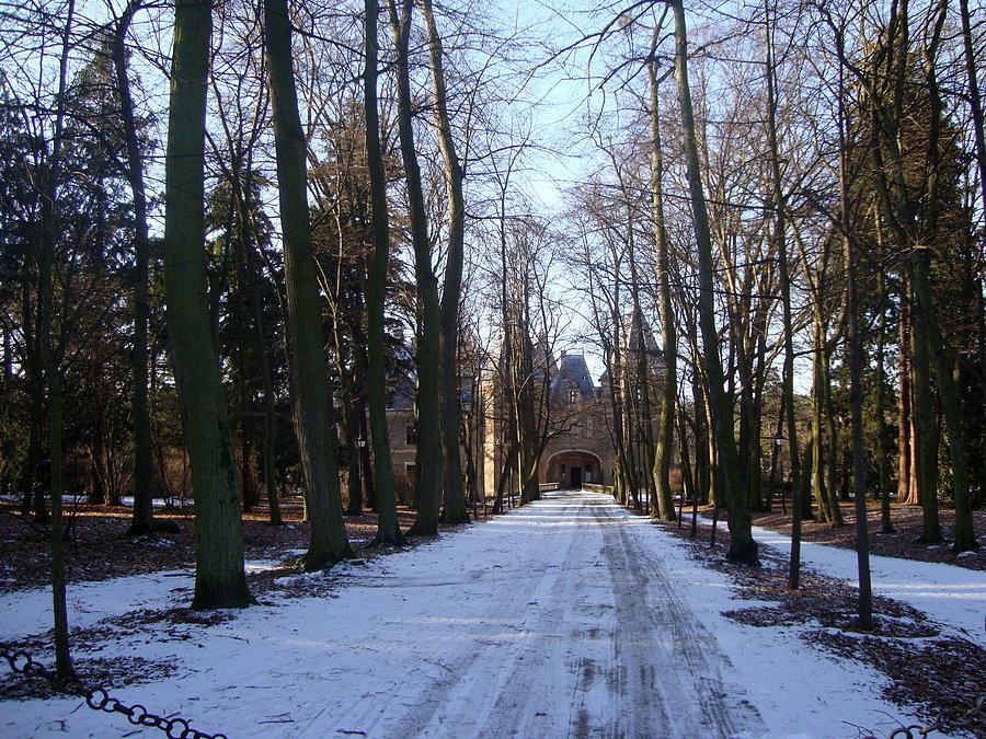 Pałac w parku w Gołuchowie