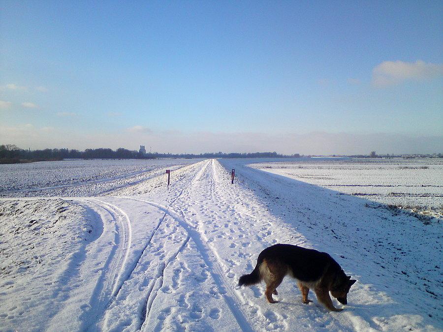 Zaśnieżony wał