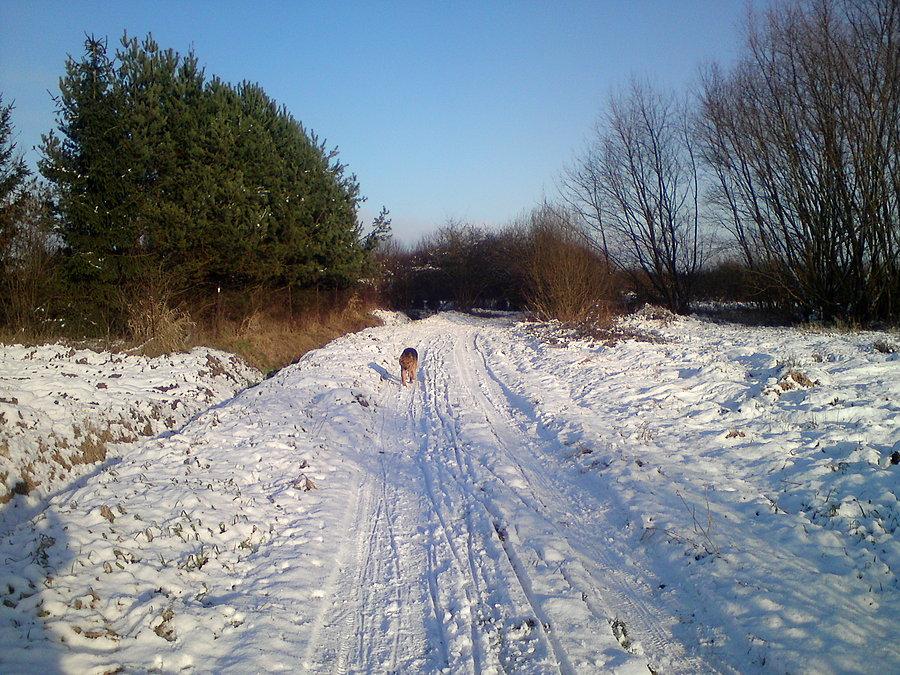 Lepszy odcinek na rower