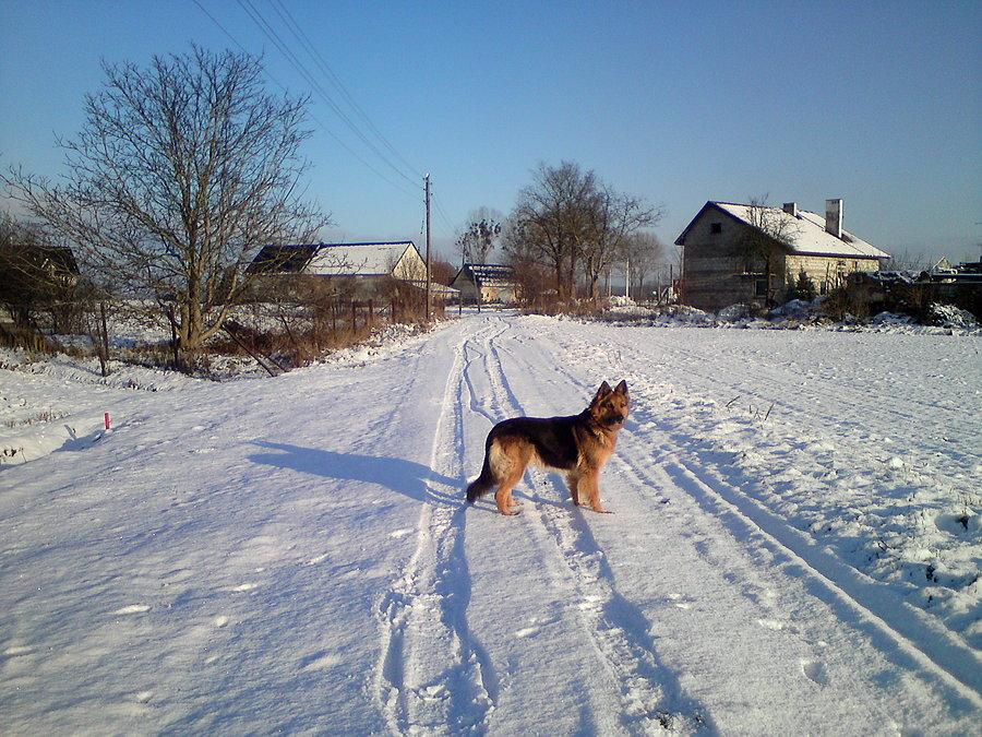 Gorszy odcinek na rower