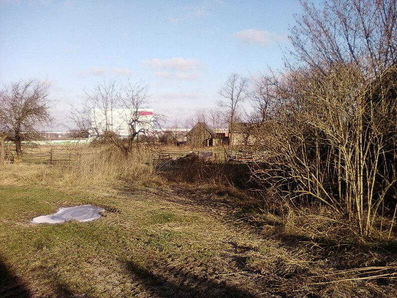 Tyły gospodarstw