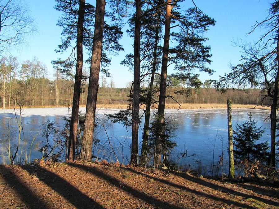 Jezioro Kowaliki włączone do Pogramu Natura 2000