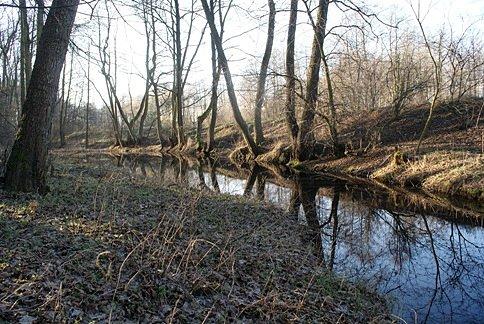 W Rezerwacie Niebieskie Źródła