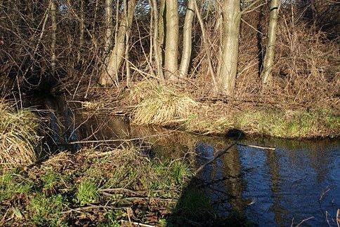 Jeden ze strumyków mijanych po drodze