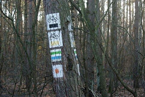 Który wybrać, jak chechać?