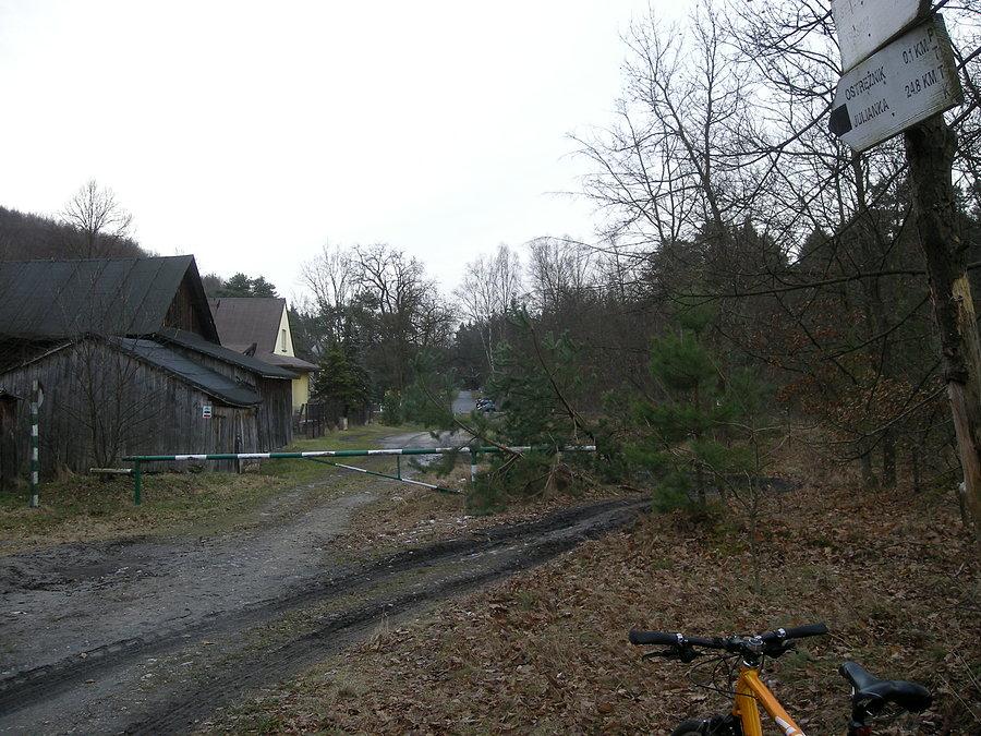 Docieram do Ostrężnika