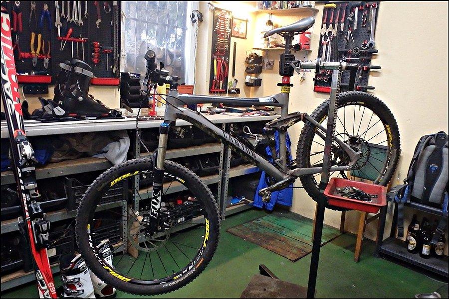 Canyon Nerve AL