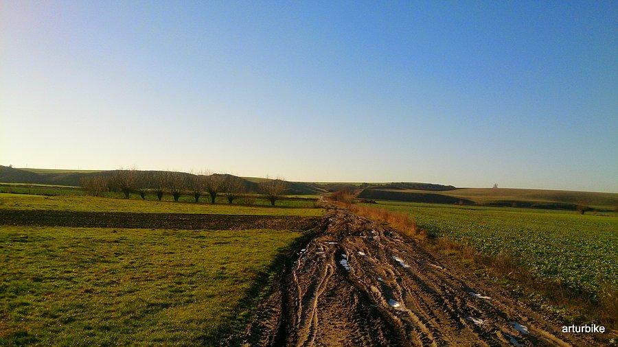 Panorama na Nizinę Walichnowską i Wzgórza Morenowe