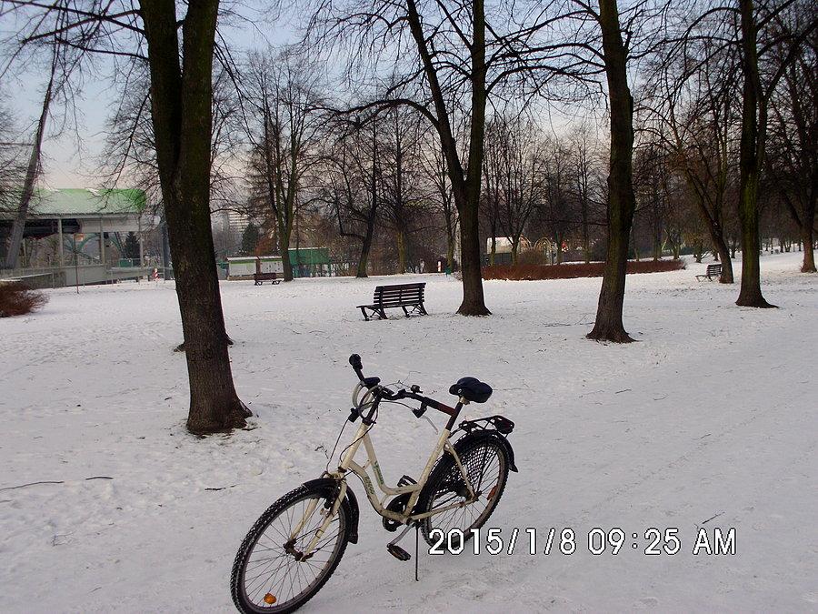Park Śląski w odświętnej szacie