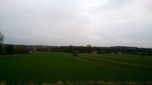 Widok na pola w Iżycach