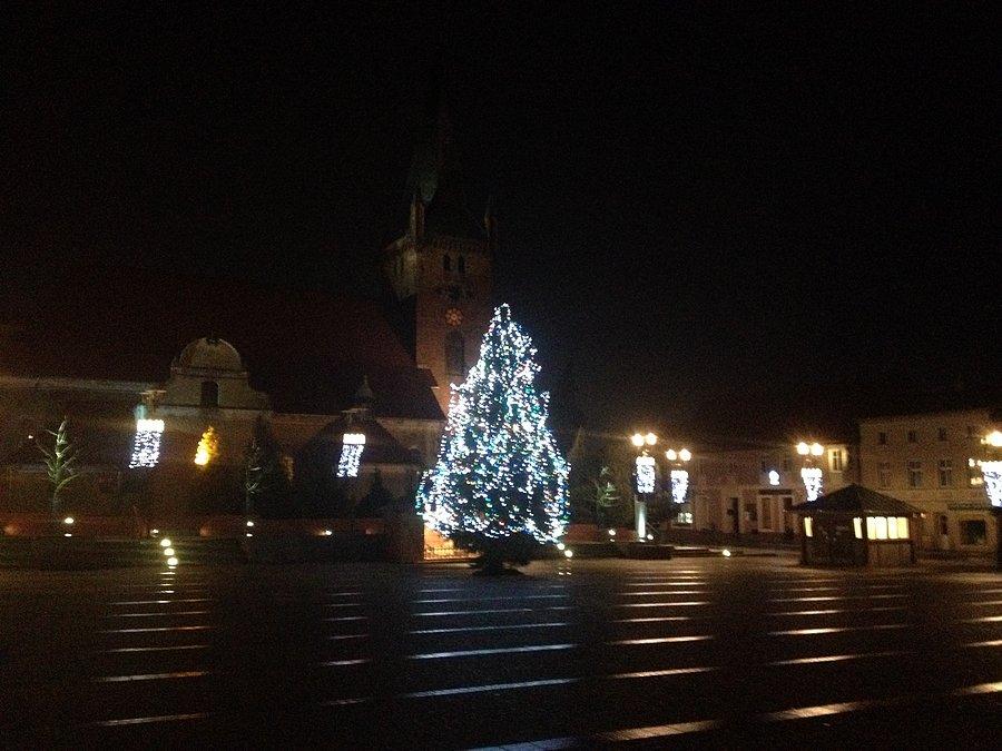Choinka na czarnkowskim rynku