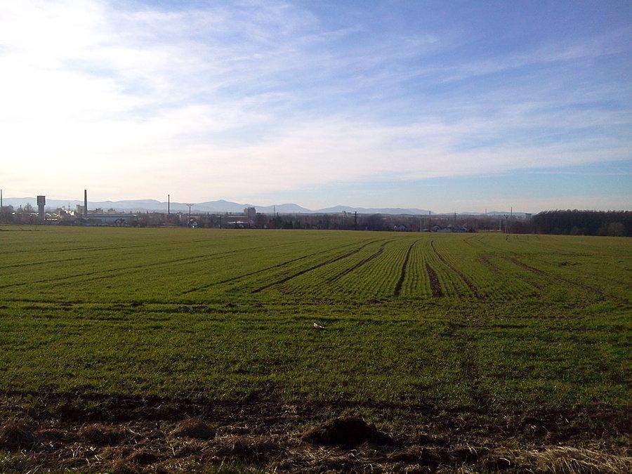 Widoczek na Beskidy