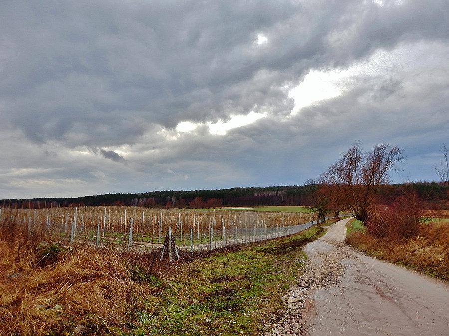 Na trasie wycieczki. Pogorszenie pogody - deszcz