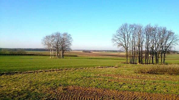Wiosenny widok na pola w Osowie
