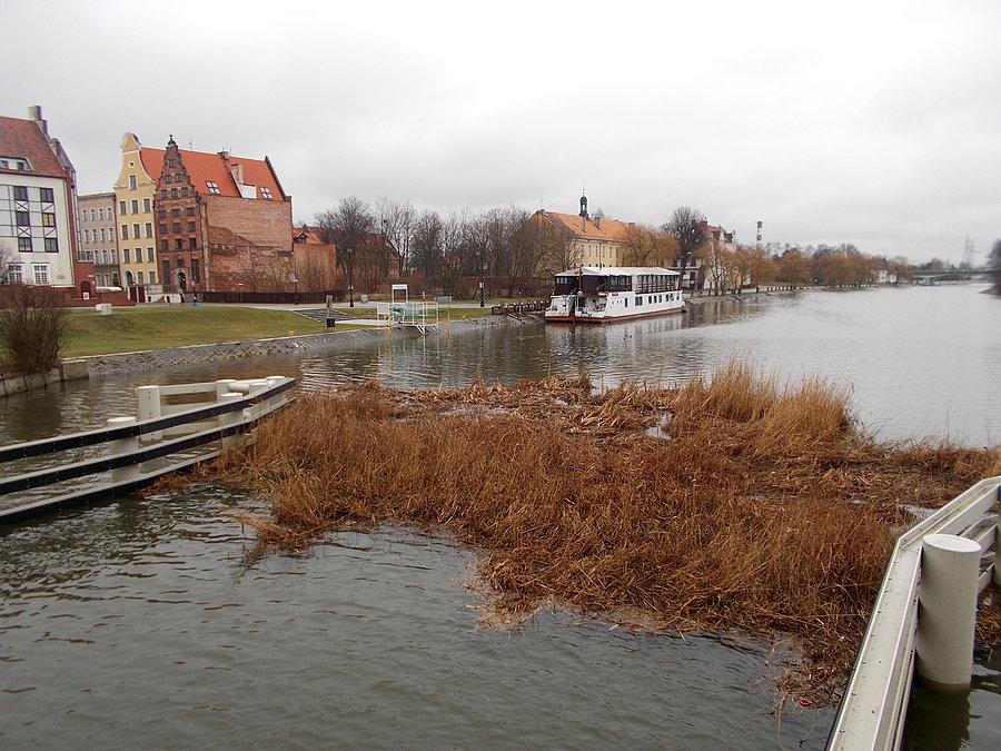 Tajemnicza wyspa na rzece Elbląg