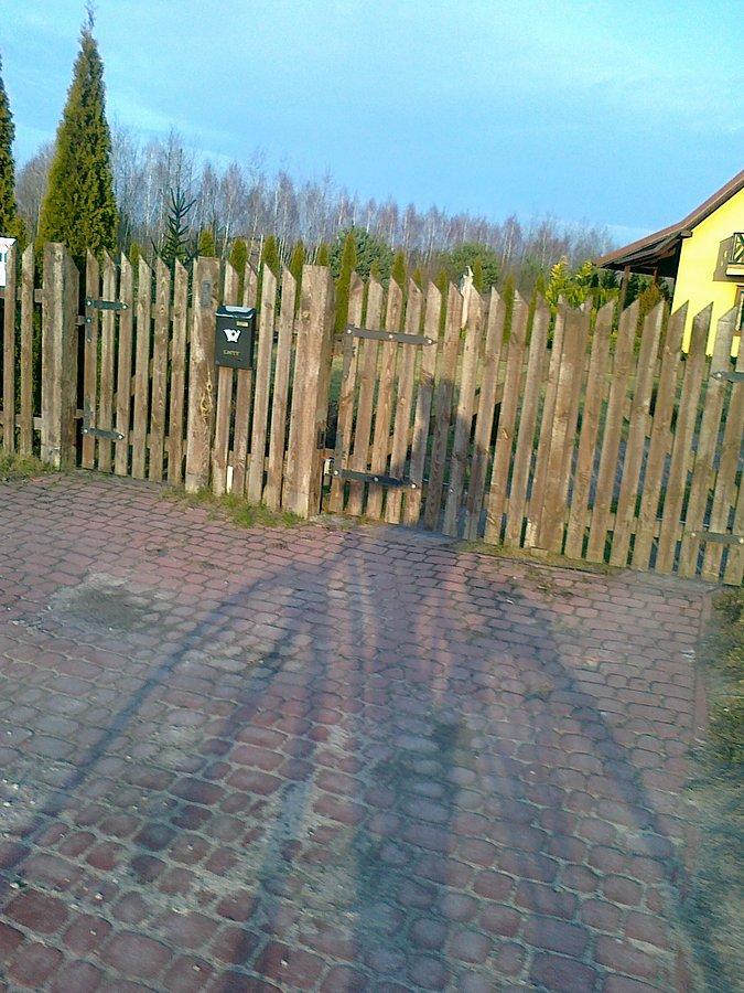 I pojawia się mój towarzysz