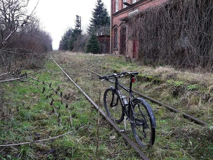 Pozarastana stacja PKP w Szołdrach