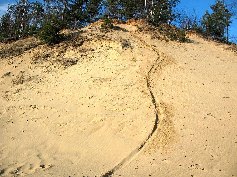 MTB dzieło