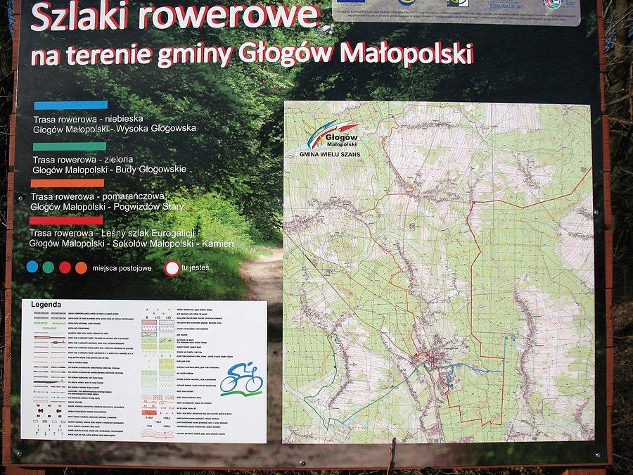 Szlaki rowerowe gminy Głogów Małopolski