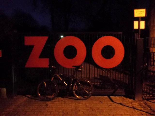 Pod ZOO