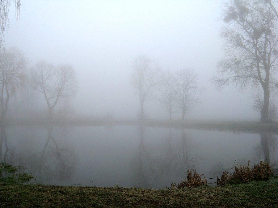 Staw w Więckowicach