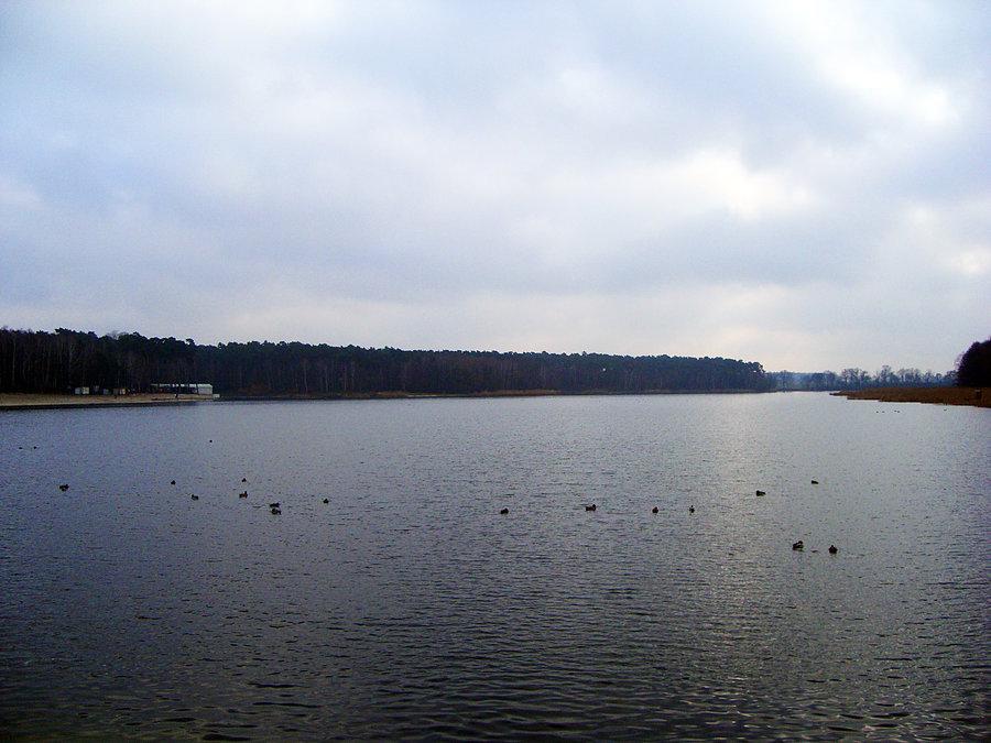 Jezioro w Gołuchowie