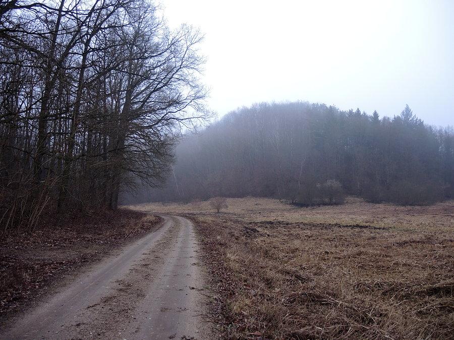 Okolice zamku w Goraju