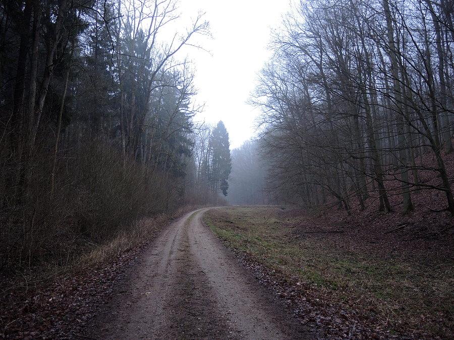 Droga Pianówka - Dębe