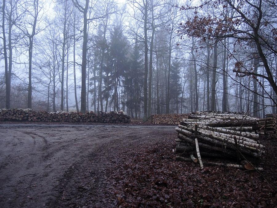 Skrzyżowanie: Pianówka - Dębe - Goraj