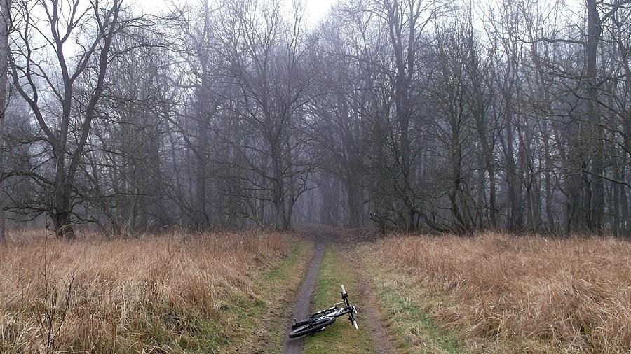 Północny nadwarciański spoko, chociaż troszkę grząsko tam