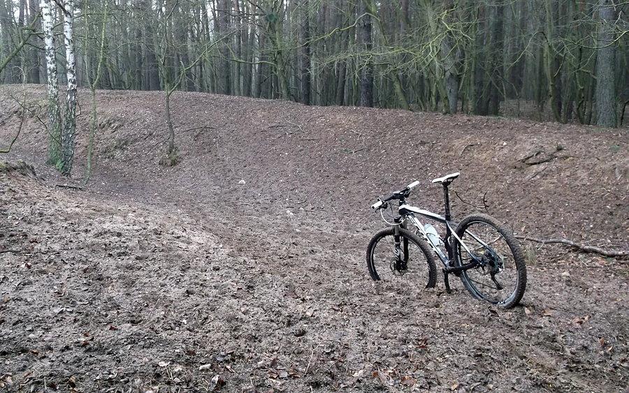 Zabłądziłem. Tyle tam śladów kopyt że to chyba miejsce narad zwierzaków :)