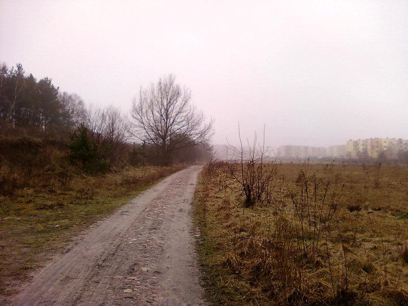 Transmisyna