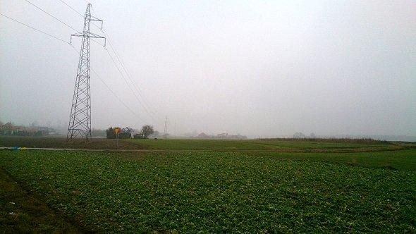 Zielone pola koło Kazimierzówki
