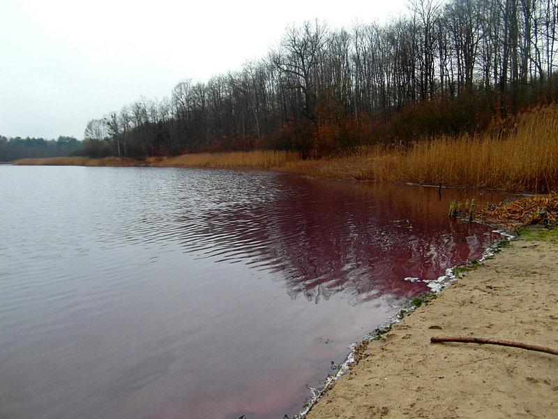 Jezioro Borówno Małe - w kolorze buraczkowym