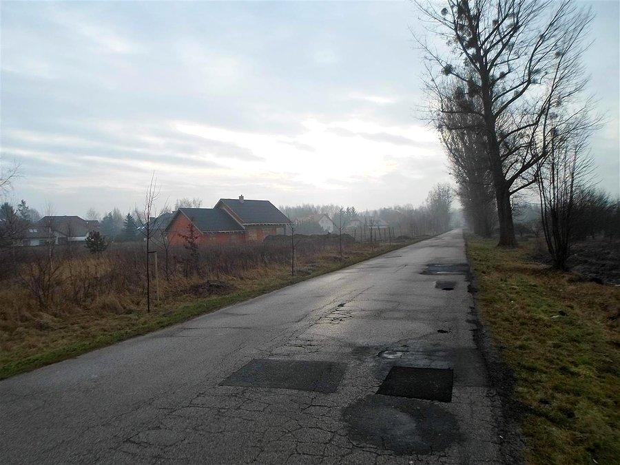Nieśmiałe słońce na drodze do Lipkowa