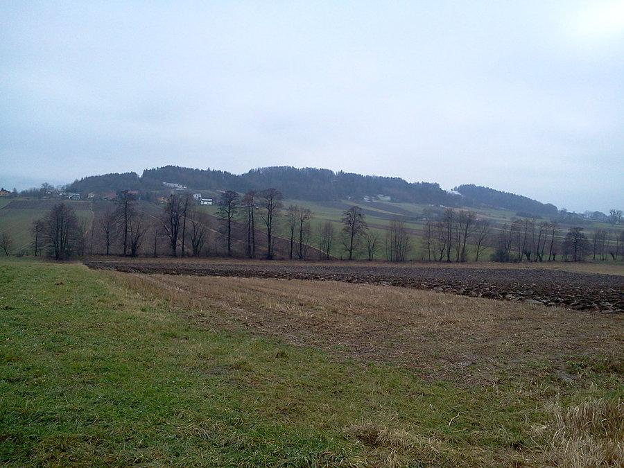 Chełm z Kisielowa