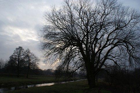 Tu nad brzegiem Wolbórki, w okolicach wiaduktu kolejowego