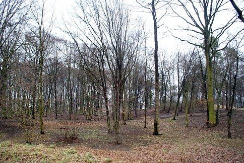 Ul. Nadrzeczną i Zgodną tuż obok parku Michałówek