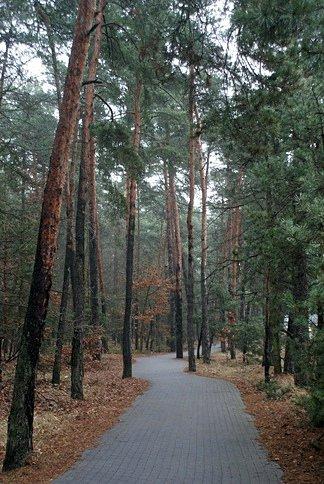 Ścieżka rowerowo-piesza wiedzie wprost do Spały