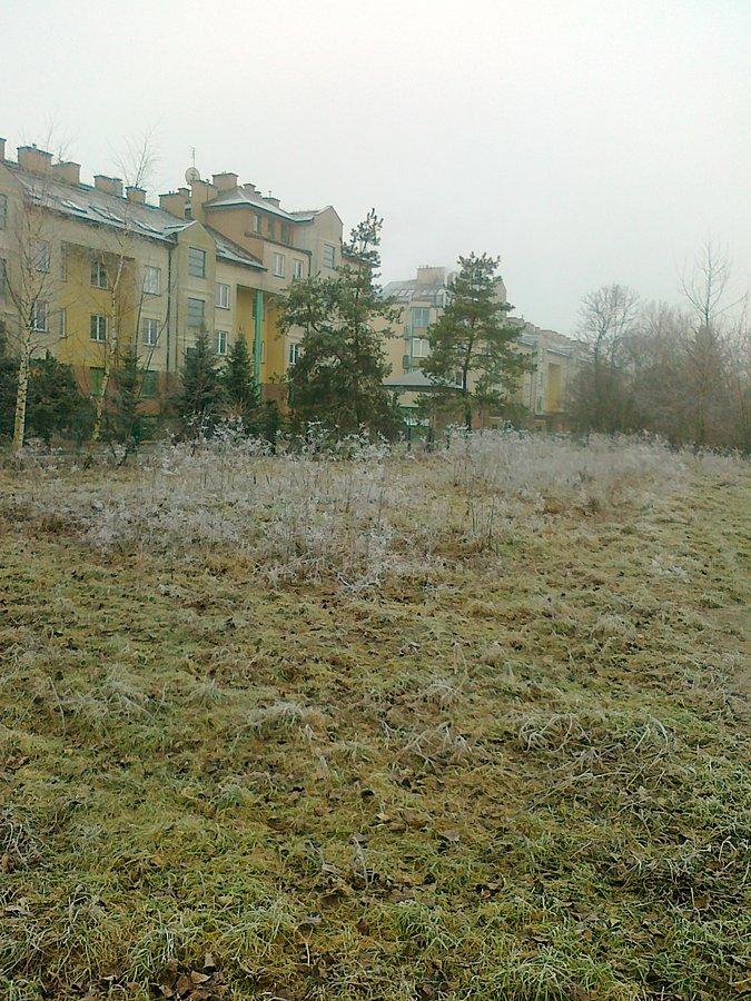 Lekko przymroziło