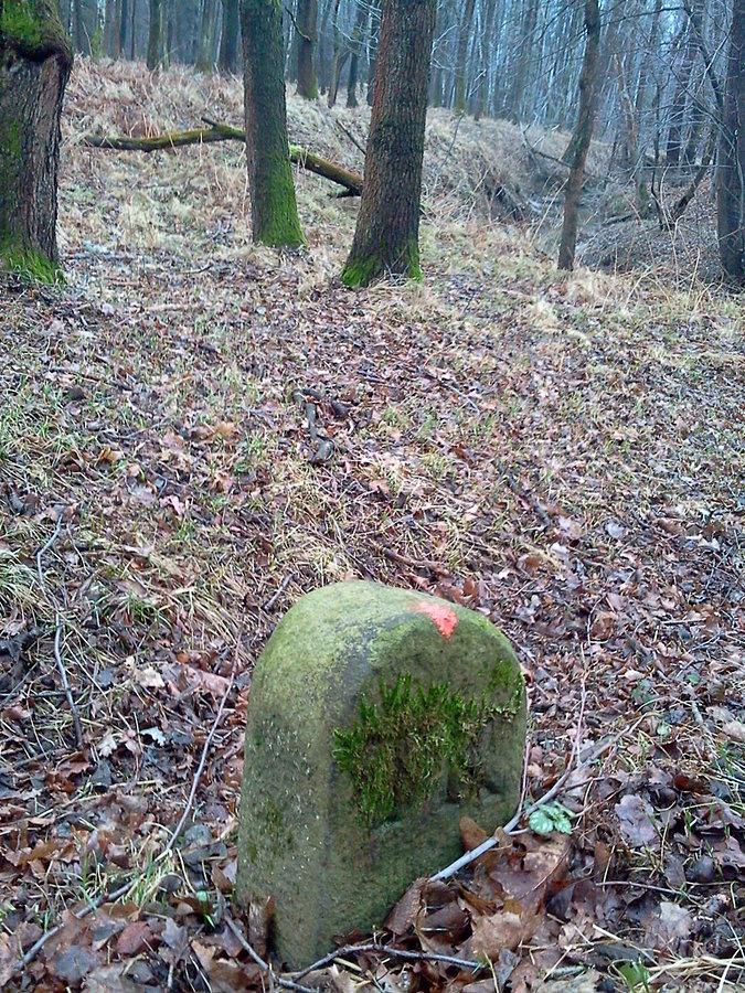 Kamień Komory Cieszyńskiej w Pierśćcu