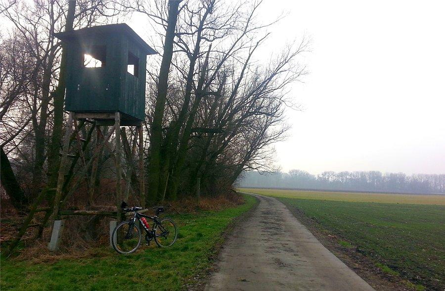 Na ścieżce rowerowej "MeandryOdry"